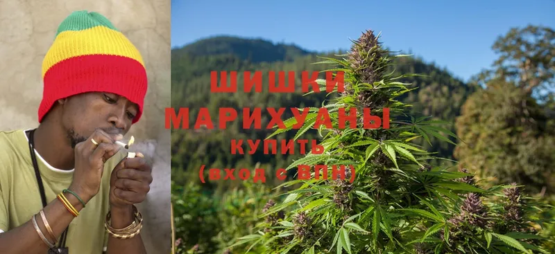 МАРИХУАНА OG Kush  купить наркотик  Камышлов 